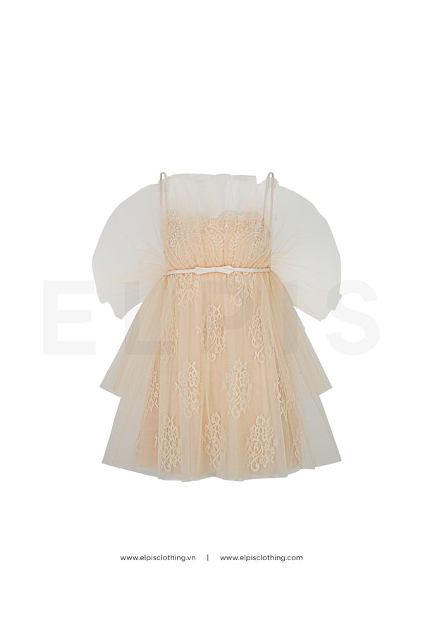 Babydoll Lace Dress | FW23D73+FW23B70